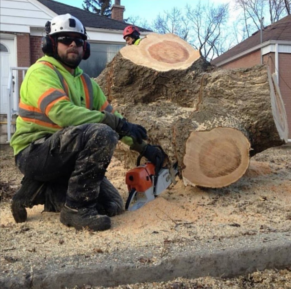 Branch Manager Tree Care | 1825 Park Ln, Innisfil, ON L9S 2W3, Canada | Phone: (705) 915-1095