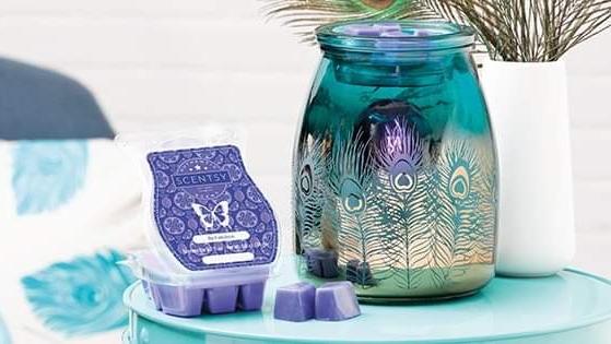 Independent Scentsy Director - Becky Porter | 265 2nd Ave E, Owen Sound, ON N4K 2E8, Canada | Phone: (519) 375-7260