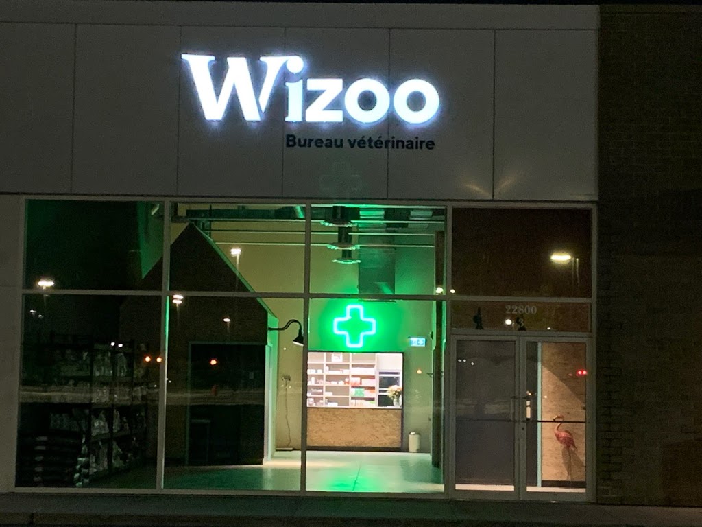 Wizoo | 22800 Chemin Dumberry unité 3, Vaudreuil-Dorion, QC J7V 9N1, Canada | Phone: (514) 319-4966