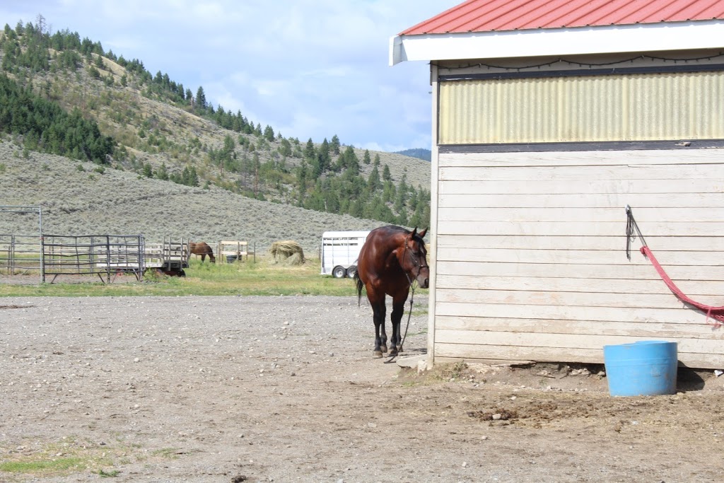 Erin Valley Riding Stable | 8825 Barnhartvale Rd, Kamloops, BC V2C 6W1, Canada | Phone: (250) 573-5442