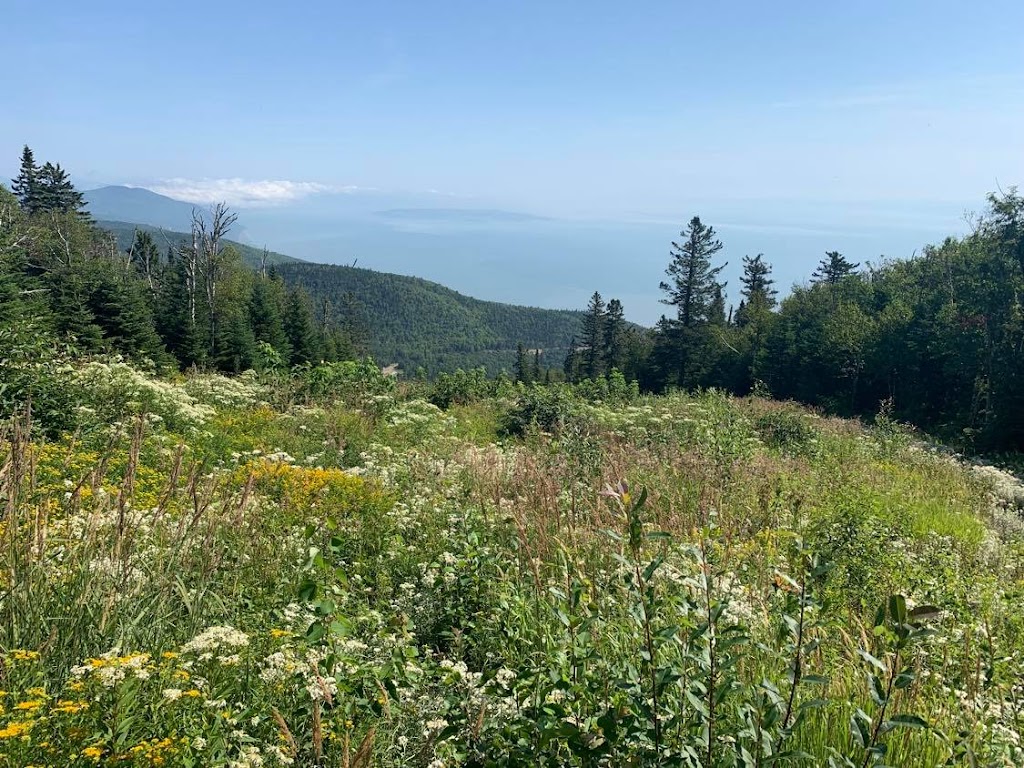 Le Massif de Charlevoix | 185 Chem. du Massif, Petite-Rivière-Saint-François, QC G0A 2L0, Canada | Phone: (877) 536-2774