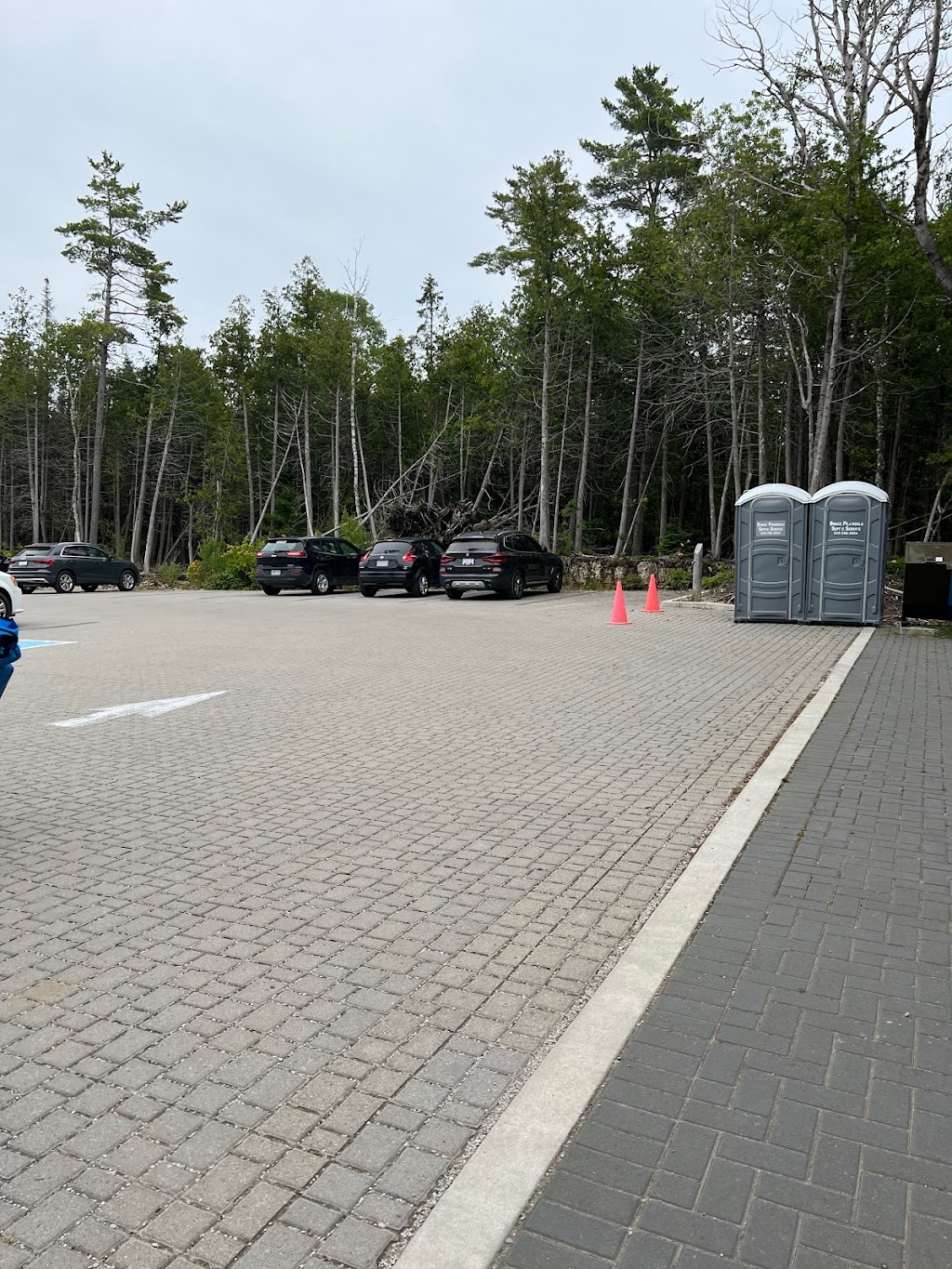 Singing Sands Beach | Singing Sands Interpretive Trail, Tobermory, ON N0H 2R0, Canada | Phone: (519) 596-2233