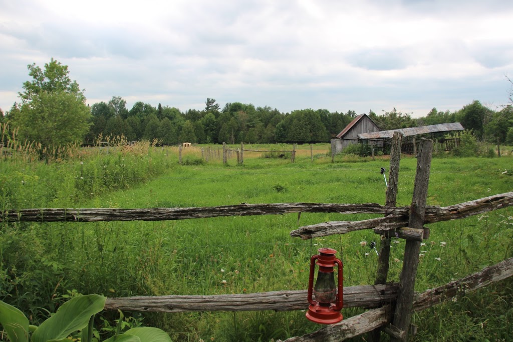 Atelier FRANCOIS BEROUD WAGON-GITANE expo | 209 Chemin de Béthanie, Béthanie, QC J0E 2L1, Canada | Phone: (514) 972-6789