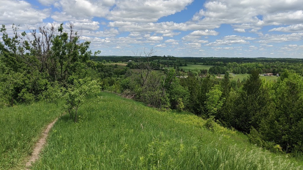 Harold Town Conservation Area Mountain Bike Trails | 2611 Old Norwood Rd, Peterborough, ON K9J 6X8, Canada | Phone: (705) 745-5791