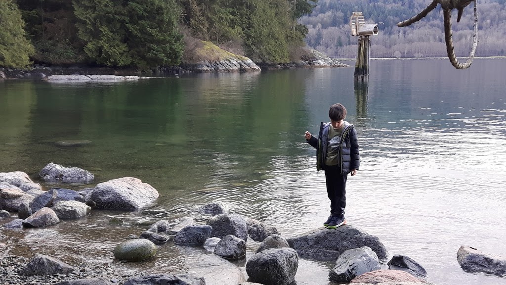 Maple Beach | Burrard Inlet, British Columbia, Port Moody, BC V3H 4P6, Canada