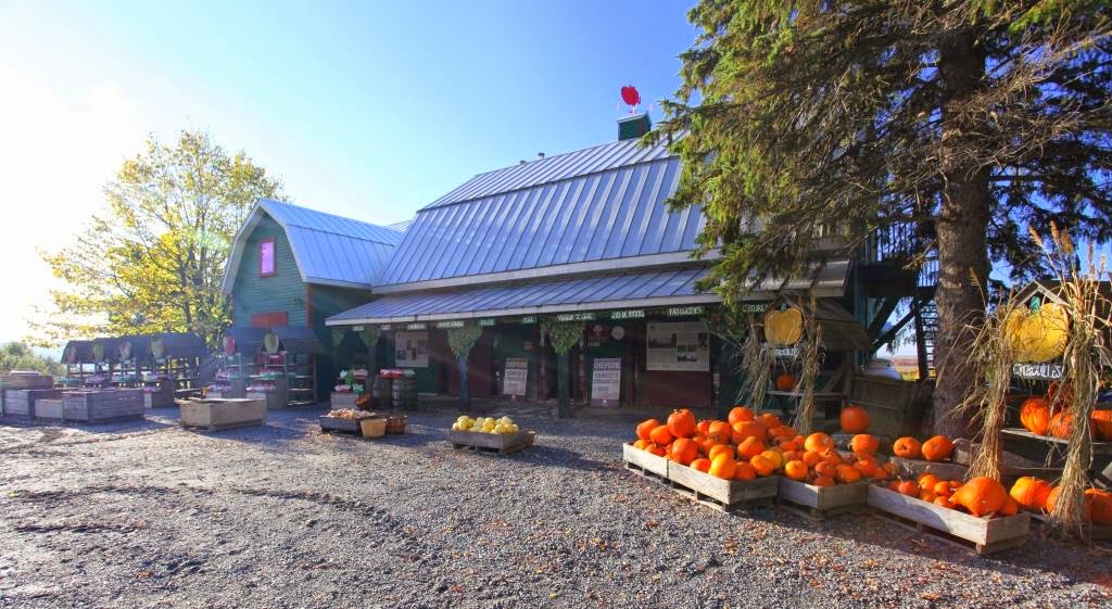 Petit and Son Cider Orchard | 1020 Chemin de la Montagne, Mont-Saint-Hilaire, QC J3G 4S6, Canada | Phone: (450) 467-9926