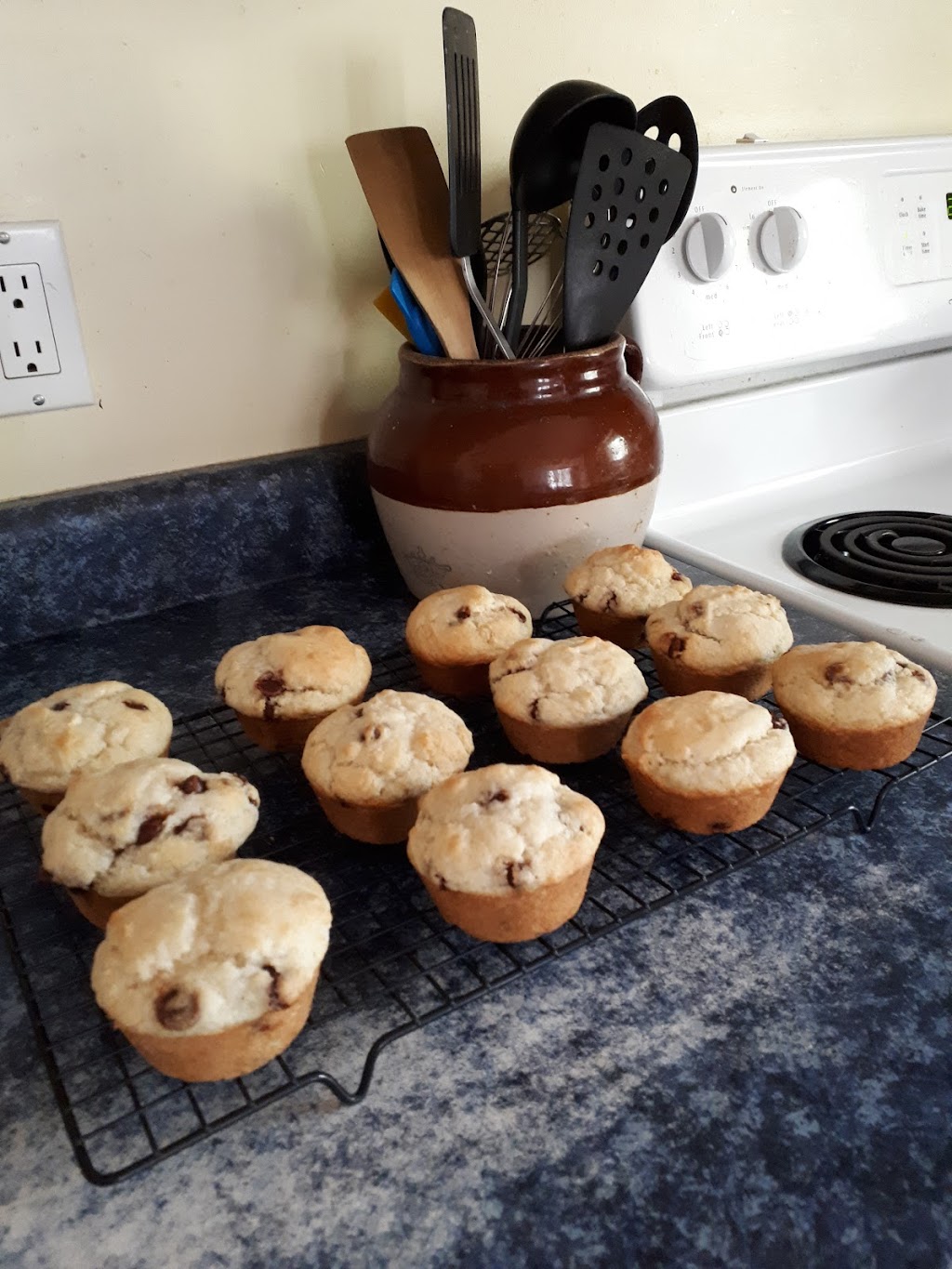 Muffins n More | 207 County Rd 1, Sandy Hook Rd, Picton, ON K0K 2T0, Canada | Phone: (613) 407-7022