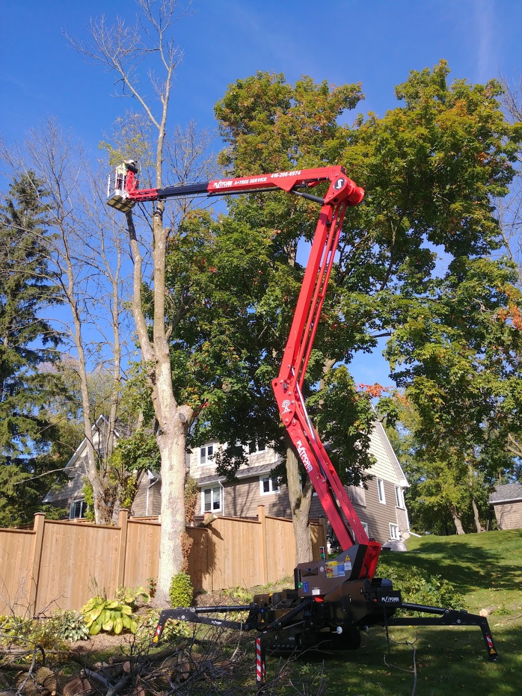 Evolution Tree Care | East Gwillimbury, ON L9N 0E6, Canada | Phone: (647) 521-7425