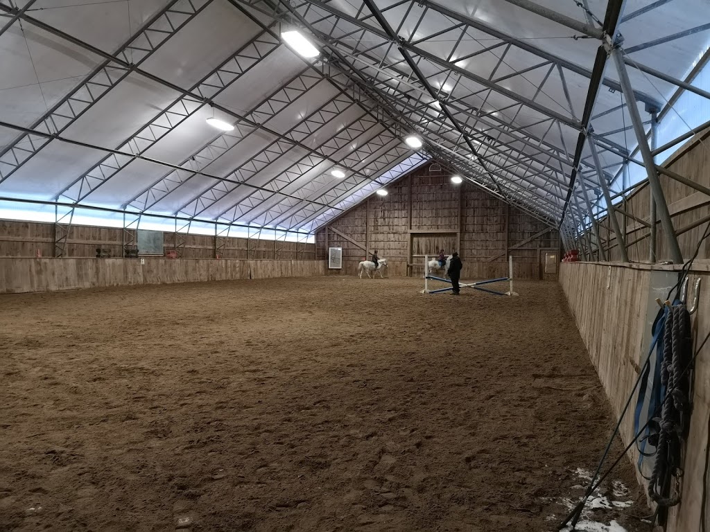 Irish Creek Stables | 6530 Wellington County Rd 34, Cambridge, ON N3C 2V4, Canada | Phone: (519) 658-2998