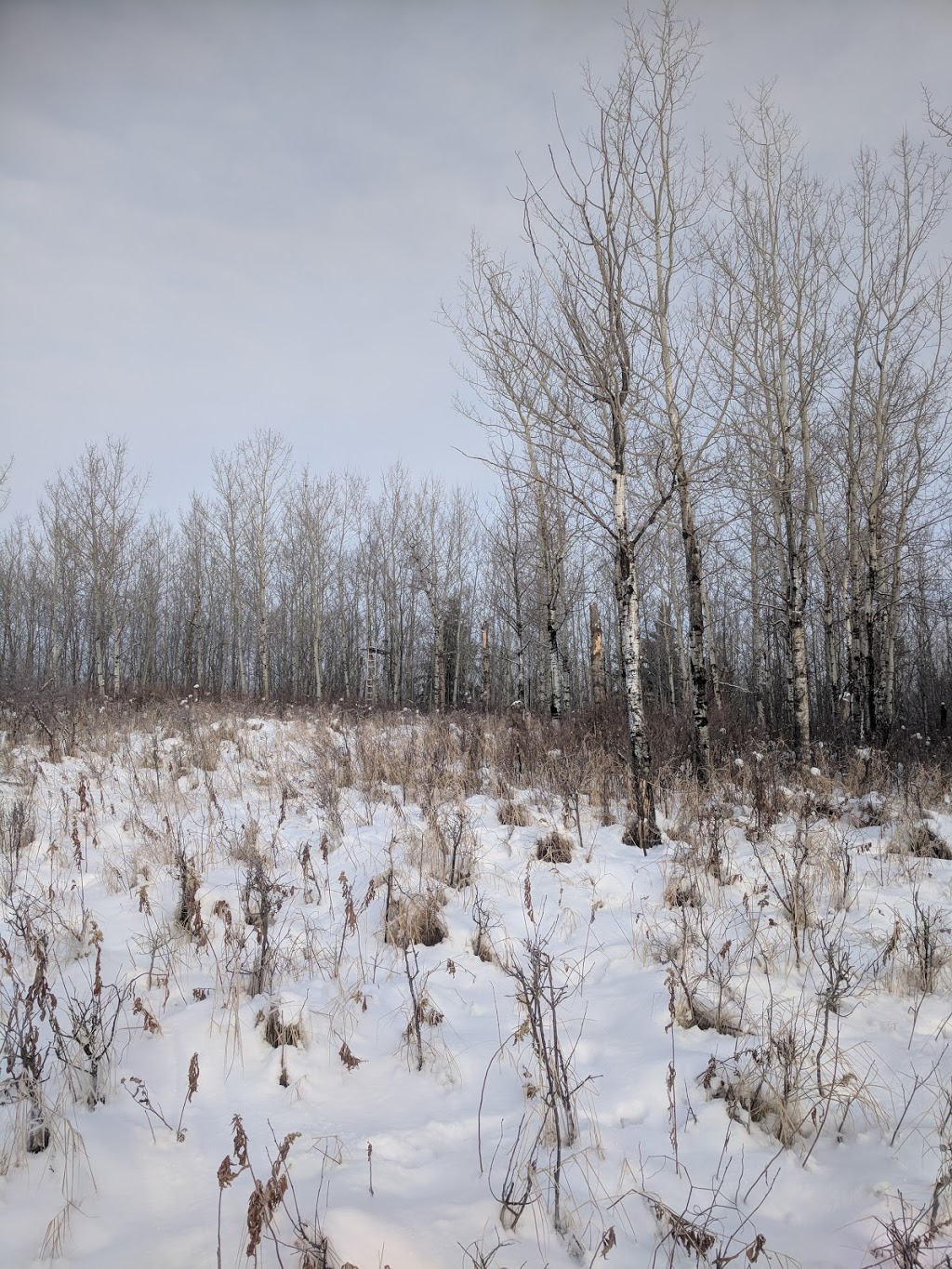 North Cooking Lake Natural Area | Strathcona County, AB T8G, Canada | Phone: (780) 427-3582