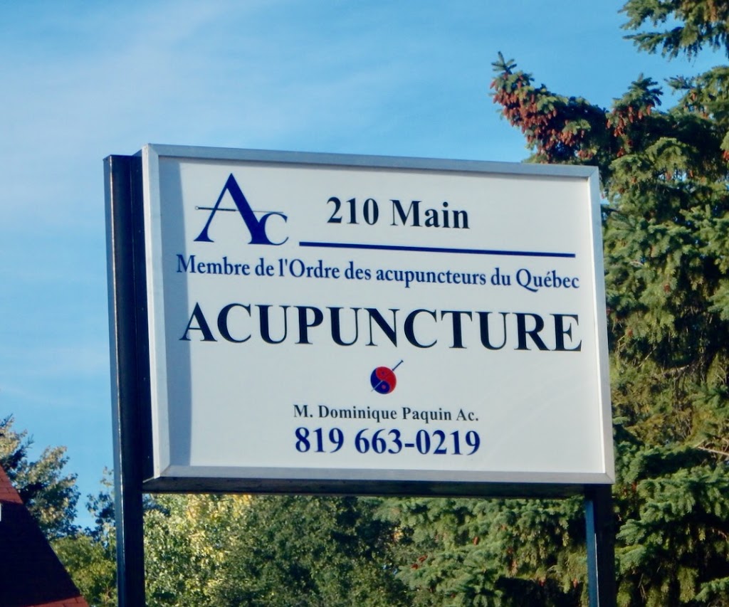 Acupuncture Et Medecine Chinese | 210 Rue Main, Gatineau, QC J8P 5J5, Canada | Phone: (819) 663-0219