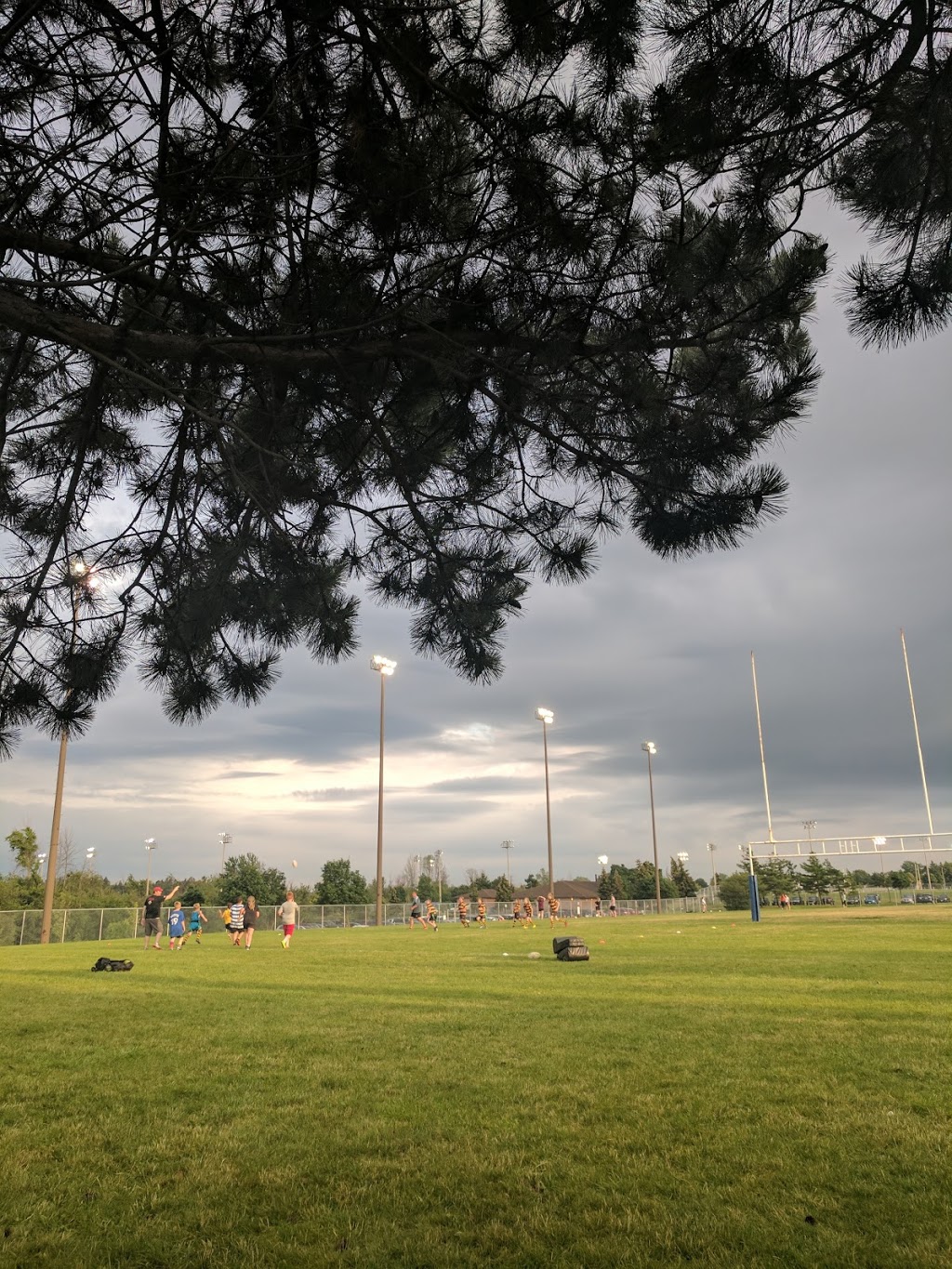 Hamilton Hornets Rugby Football Club | 699 Upper Kenilworth Ave, Hamilton, ON L8T 4Z6, Canada | Phone: (905) 304-6533