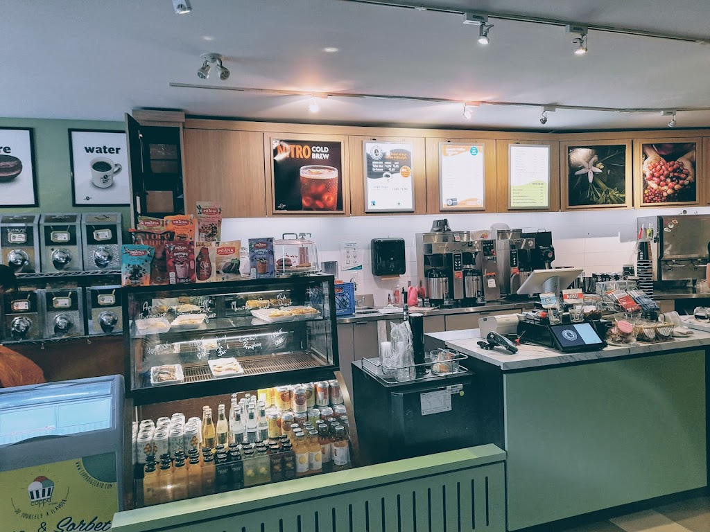 Planet Bean Coffee - Hilltop | 369 Gordon St, Guelph, ON N1G 1X8, Canada | Phone: (519) 265-9533