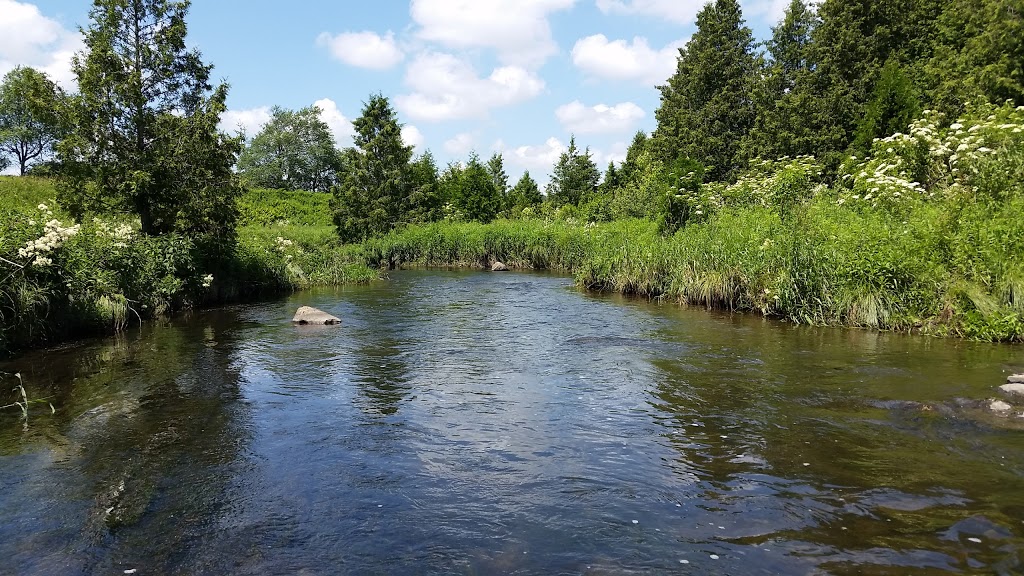 Upper Credit Conservation Area | Caledon, ON L7K 1S9, Canada