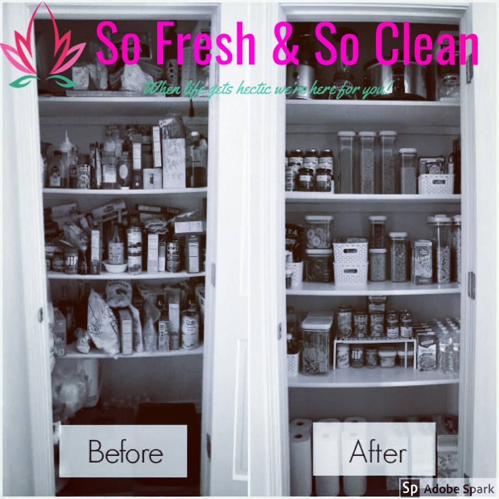 So Fresh & So clean | 1713 Mattawa Ave, Mississauga, ON L4X 1K5, Canada | Phone: (416) 270-3315