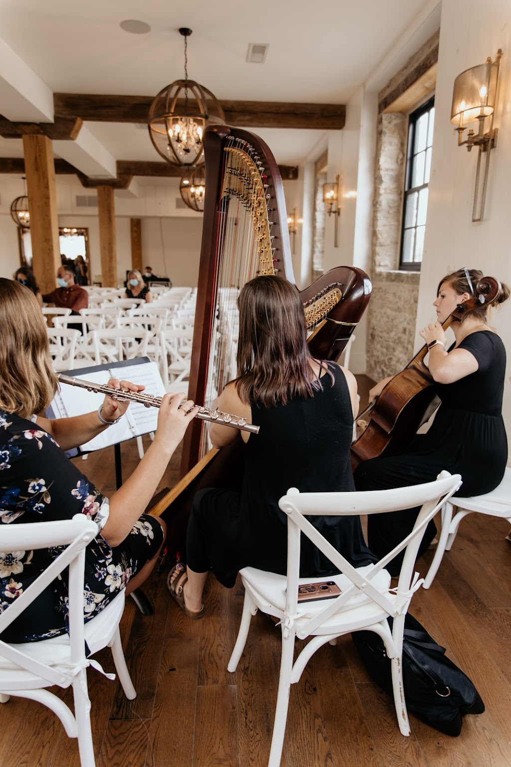 The Soenen Sisters Music - Harp Flute and Cello | 48 Kerr-Shaver Terrace, Brantford, ON N3T 6H8, Canada | Phone: (905) 818-4676