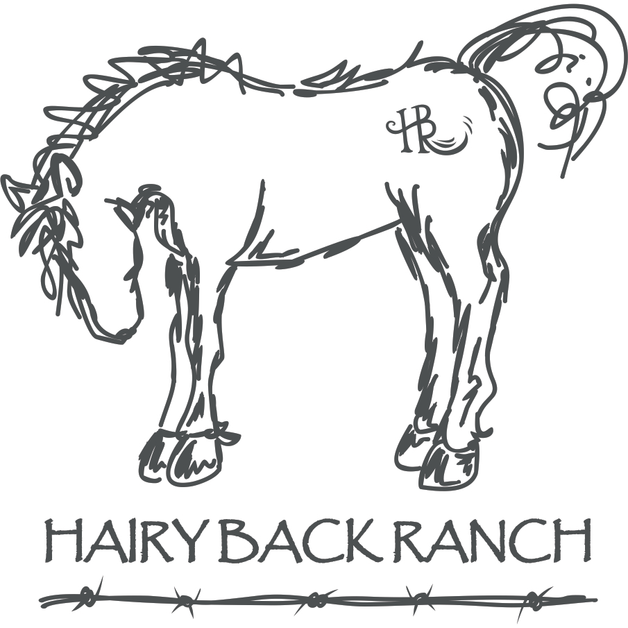 Hairy Back Ranch | Hillcrest Village Shopping Centre, 18690 Fraser Hwy, Surrey, BC V3S 7Y5, Canada | Phone: (604) 866-6060