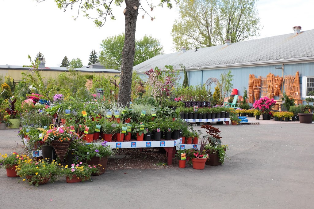 Gauthier Fleurs et Jardins | 4936 Boul Gene-H.-Kruger, Trois-Rivières, QC G9A 4N1, Canada | Phone: (819) 375-4813