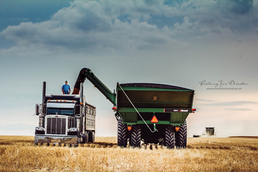 Van Driesten Harvesting Ltd. | 146 Manning Ave, Fort Macleod, AB T0L 0Z0, Canada | Phone: (403) 331-8237