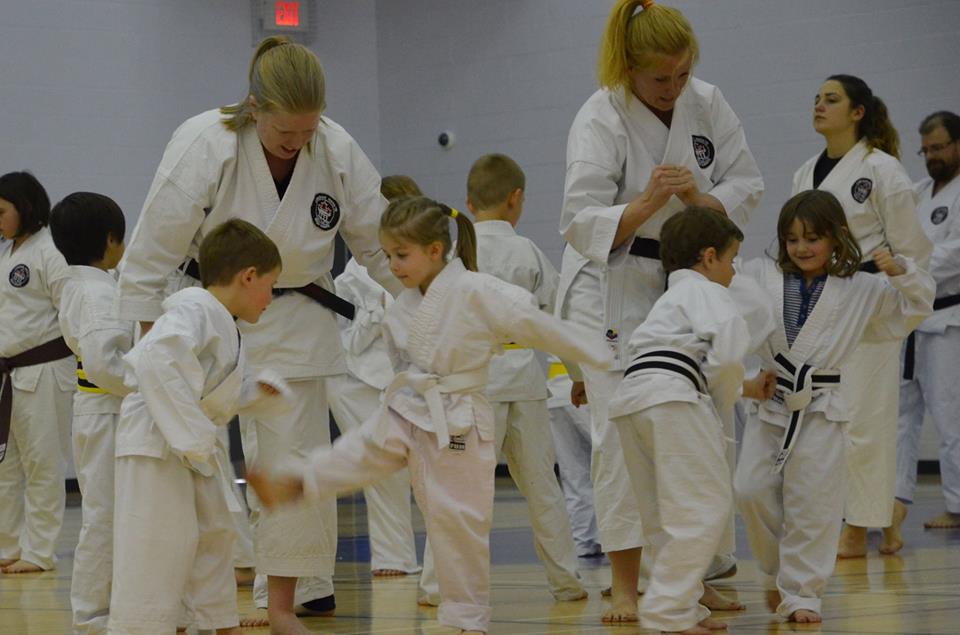 Elmira Karate Dojo | 60 Arthur St S, Elmira, ON N3B 2M9, Canada | Phone: (519) 669-3340