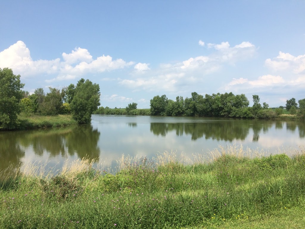 Cuddy Woods Conservation Area | Adelaide Metcalfe, ON N7G 3H8, Canada