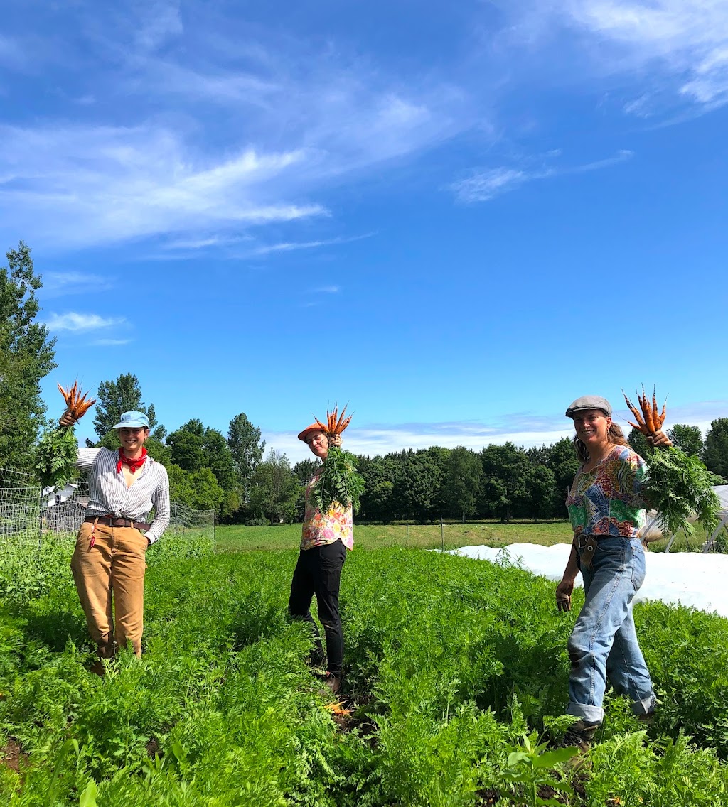 Ferme Agricola Farm | 502 QC-323, Papineauville, QC J0V 1R0, Canada | Phone: (819) 998-7498