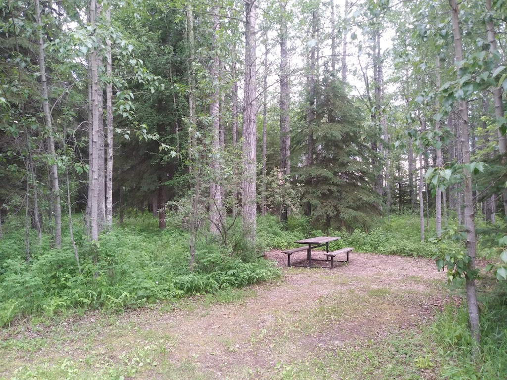 Calhoun Bay Provincial Recreation Area | Wetaskiwin County No. 10, AB T0C 0S0, Canada | Phone: (780) 586-2864