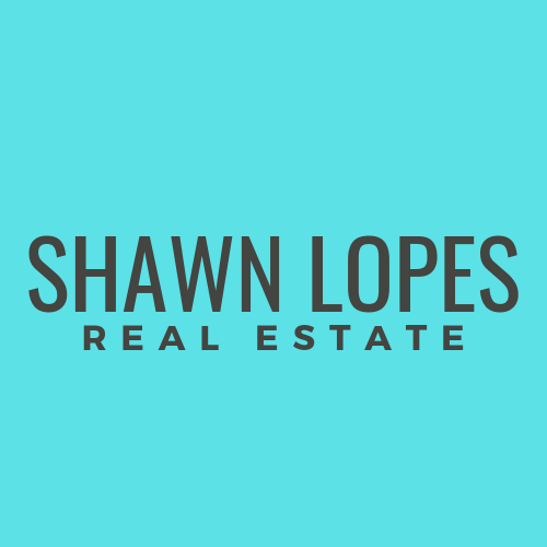 Shawn Lopes | 347 Jane St, Toronto, ON M6S 3Z3, Canada | Phone: (647) 996-8181