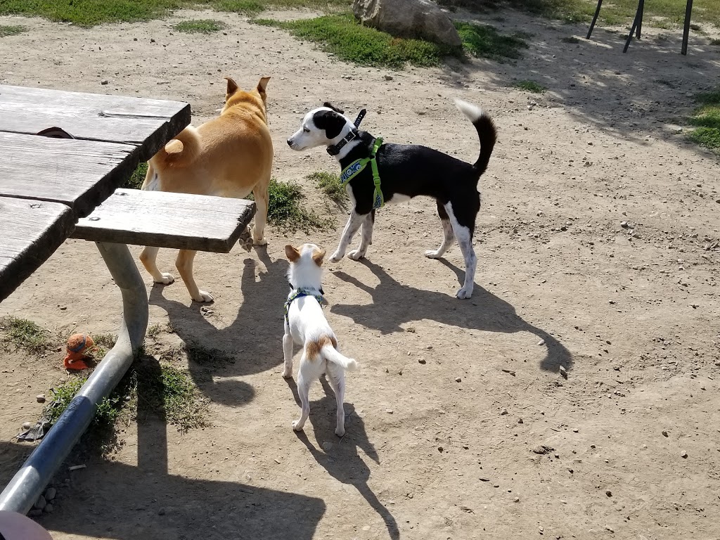 Whitby Off Leash Dog Park South | 9y2, 470 Jeffery St, Whitby, ON L1N 9Y2, Canada