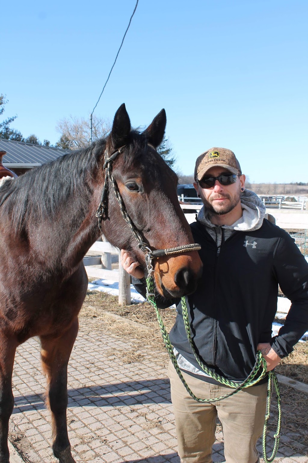 Big Heart Equine | 923 2nd Line, Hagersville, ON N0A 1H0, Canada | Phone: (365) 323-4156