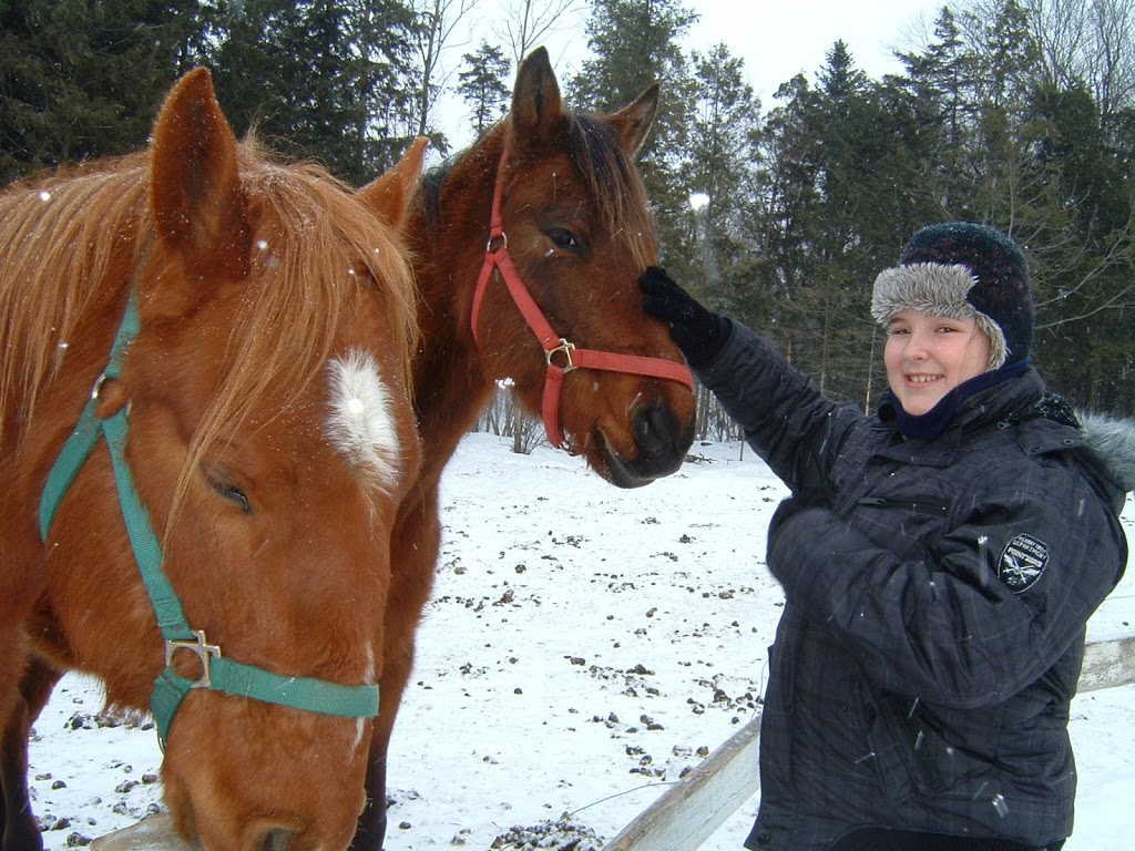 Centre dÉquitation Ranch Chez Ti-Gars | 38 Rue des Cavaliers, Saint-Étienne-de-Lauzon, QC G6J 1H7, Canada | Phone: (418) 831-2400