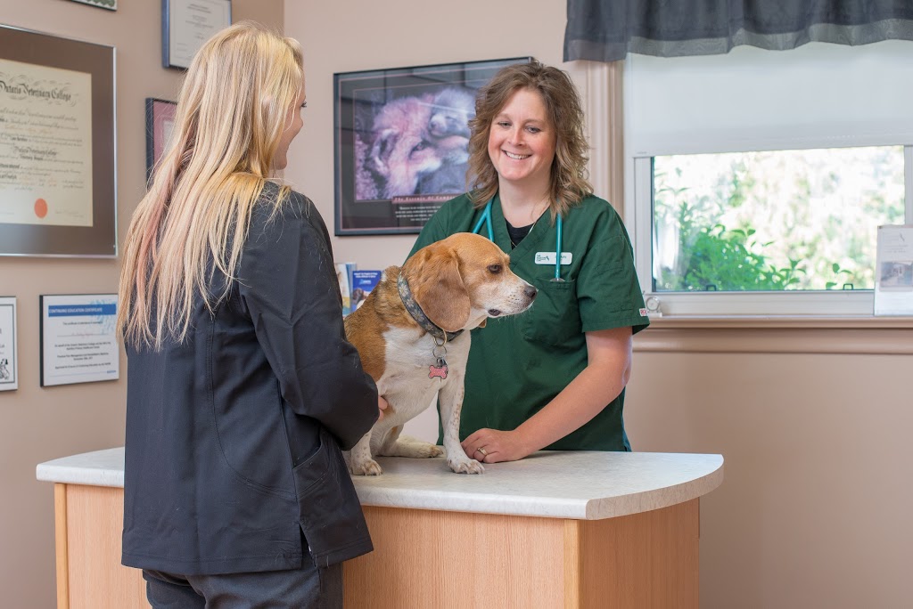 Brantford Veterinary Clinic | 277 King George Rd, Brantford, ON N3R 5L1, Canada | Phone: (519) 756-2390