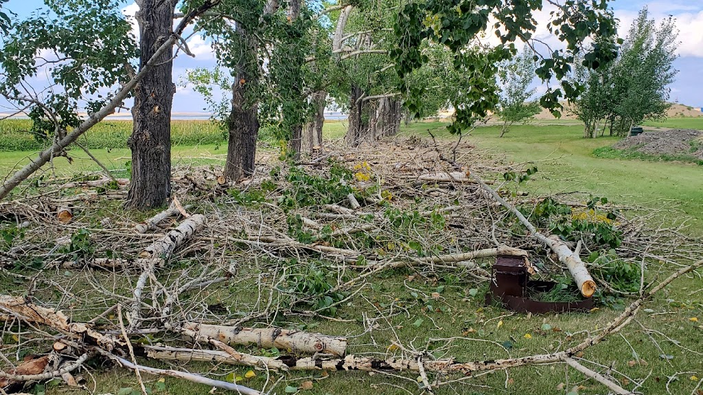 Positive Pruning & Maintenance | Strathford Pl, Strathmore, AB T1P 1S4, Canada | Phone: (403) 608-4762