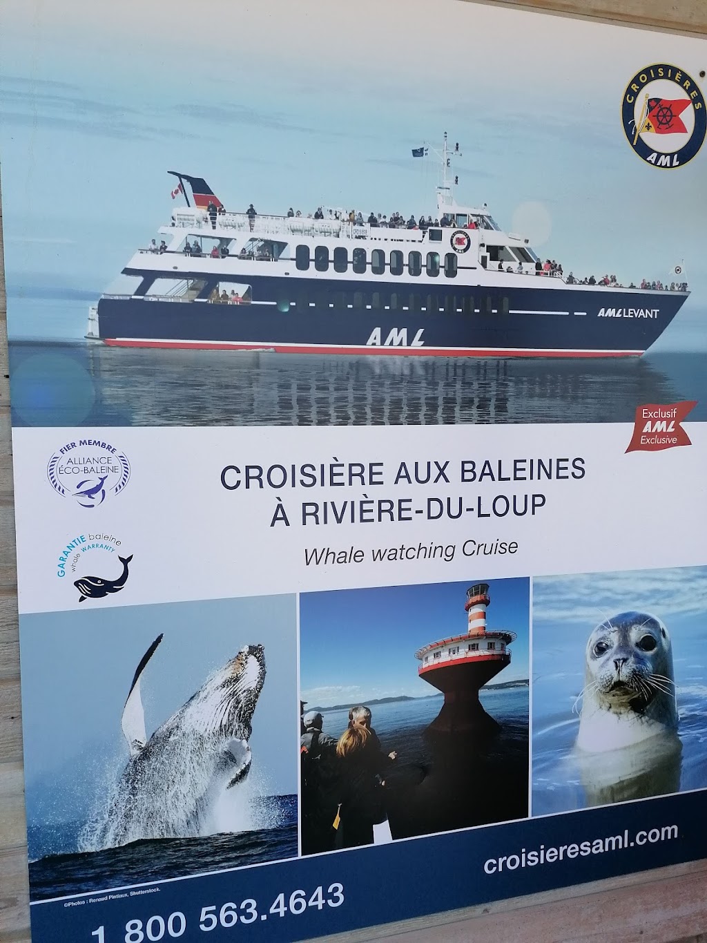 Croisières AML Rivière-du-Loup Billetterie | 200 Rue Hayward, Rivière-du-Loup, QC G5R 6A4, Canada | Phone: (866) 856-6668