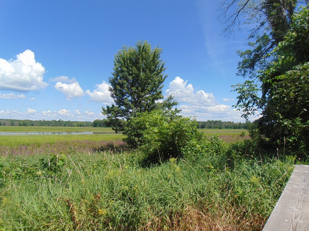 Parc national de Plaisance, secteur Thurso | Sentier des Outaouais, Thurso, QC J0X 3B0, Canada | Phone: (819) 427-5334