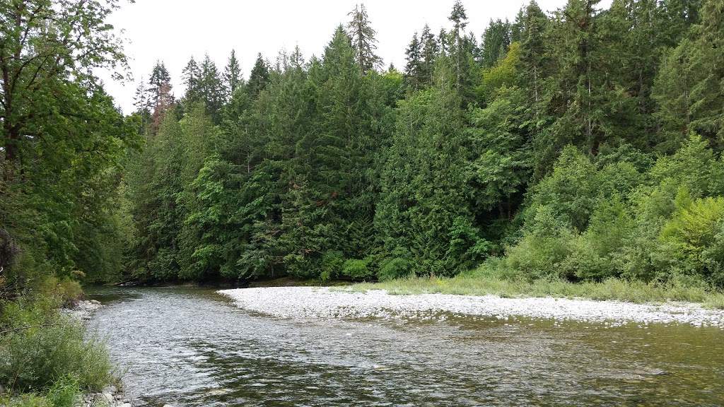 Sandy Pool Regional Park | W Riverbottom Rd, Duncan, BC V9L 6J6, Canada | Phone: (250) 746-2620