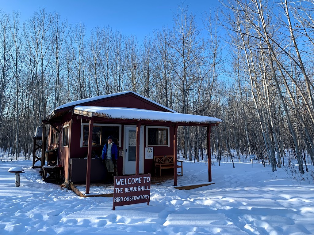 Beaverhill Bird Observatory | Township Rd 510, Tofield, AB T0B 4J0, Canada | Phone: (587) 783-9188