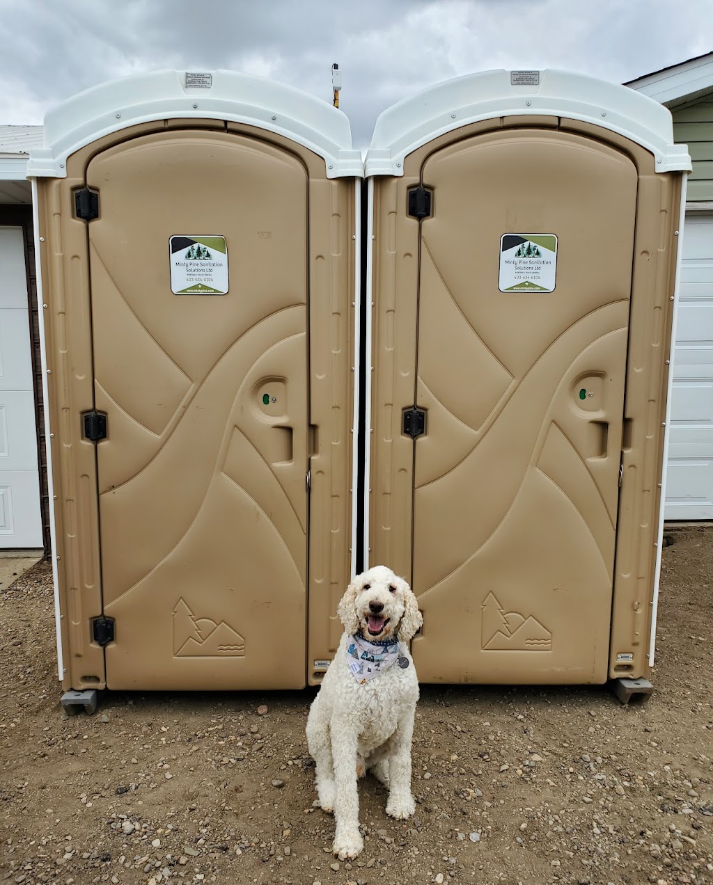 Minty Pine Septic Cleaning & Portable Toilet Rental | Box 344, Barnwell, AB T0K 0B0, Canada | Phone: (403) 634-6106