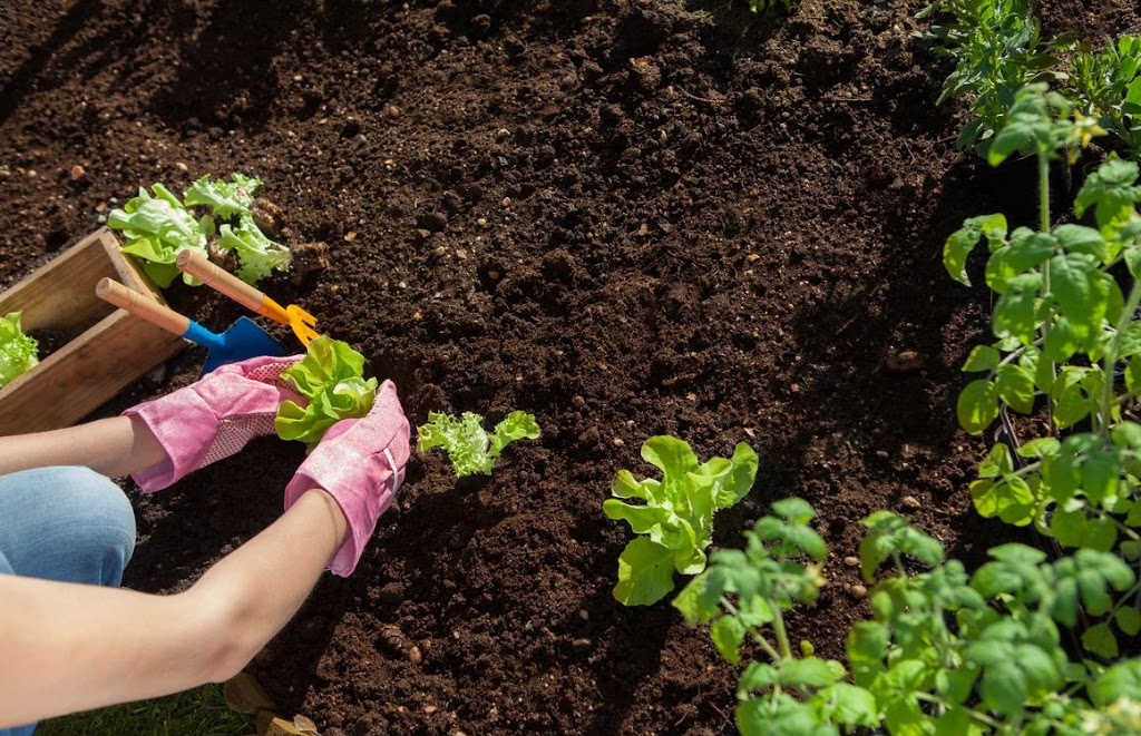 Horticulture Garden Centre Inc. | 1256 E Lower Base Line, Hornby, ON L0P 1E0, Canada | Phone: (416) 578-6696