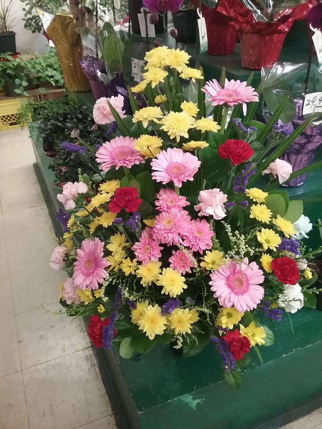 Lindas Flowers | 3855 Rupert St, Vancouver, BC V5R 2G7, Canada | Phone: (604) 434-7124