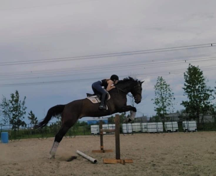 Academy Equestrian Mn | 172 Rang Lepage, Sainte-Anne-des-Plaines, QC J0N 1H0, Canada | Phone: (514) 604-7232