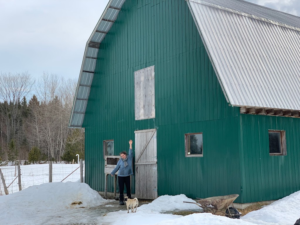 Ferme LHarmonium | 870 QC-108, Bury, QC J0B 1J0, Canada | Phone: (819) 300-4029