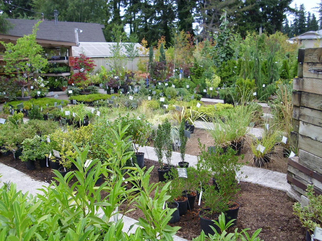 De Wildes Nurseries Inc | 3410 Northwest Ave, Bellingham, WA 98225, USA | Phone: (360) 733-8190