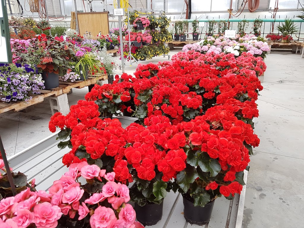 Aspen Greenhouses | 1-40032, Range Rd 283, AB T4M 0X7, Canada | Phone: (403) 885-4516