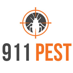 911 Pest Control | 1682 Fairview Rd unit 5, Cambridge, ON N3H 4M7, Canada | Phone: (519) 804-1450