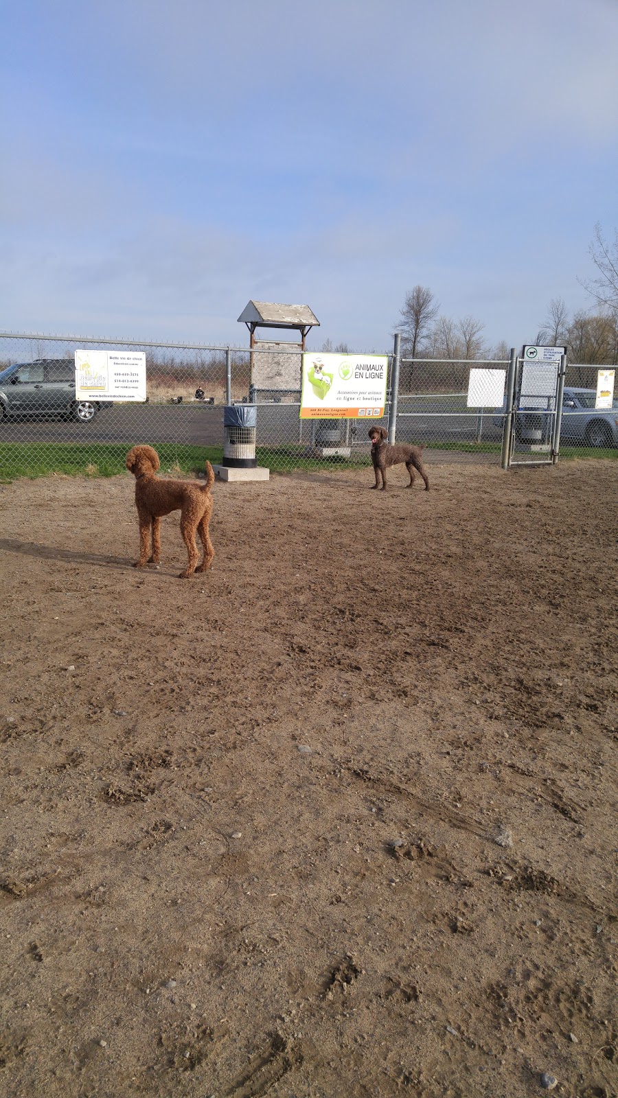 dog park Vauquelin Saint-Hubert | 5800 Boul Vauquelin, Saint-Hubert, QC J3Y 8Y9, Canada | Phone: (450) 463-7311