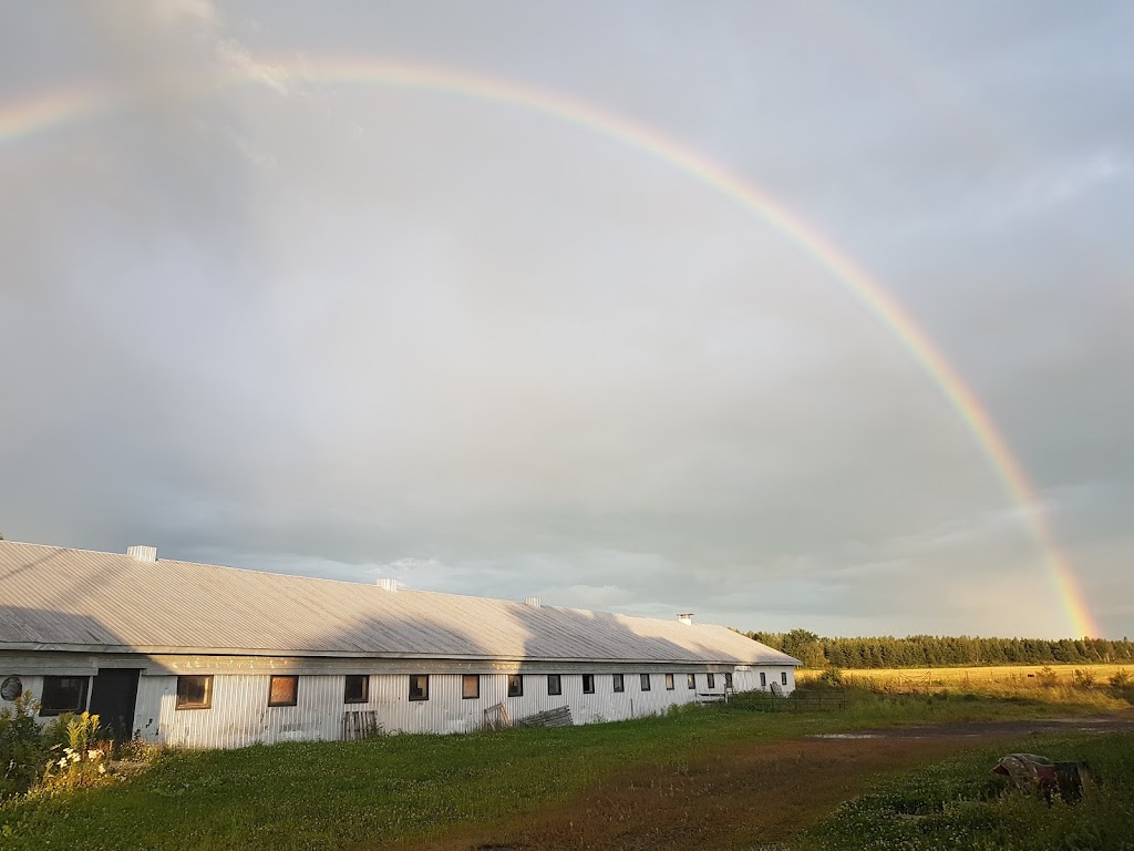 La ferme des Korrigans | 1570 7e Rang O, Princeville, QC G6L 4C3, Canada | Phone: (819) 809-0198