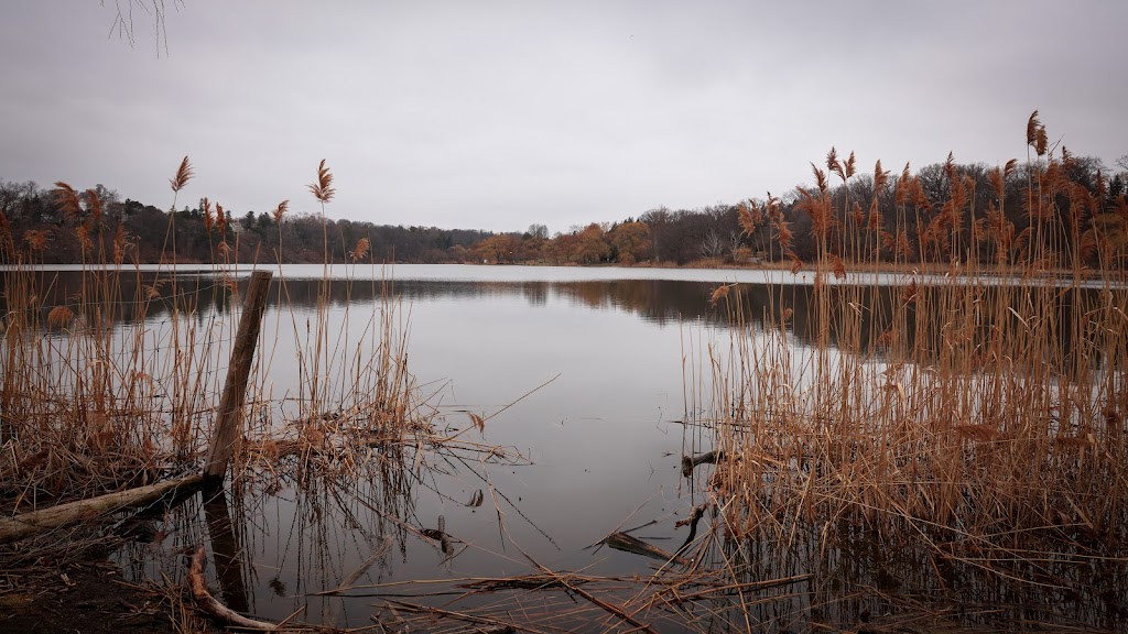 Grenadier Pond | High Park-Swansea, Toronto, ON M6S, Canada | Phone: (416) 721-2012