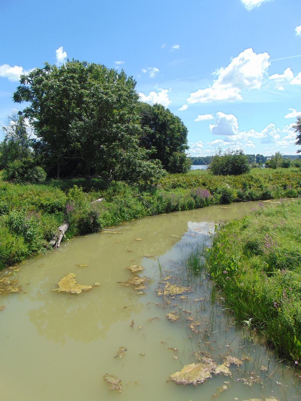 Parc national de Plaisance, secteur Thurso | Sentier des Outaouais, Thurso, QC J0X 3B0, Canada | Phone: (819) 427-5334