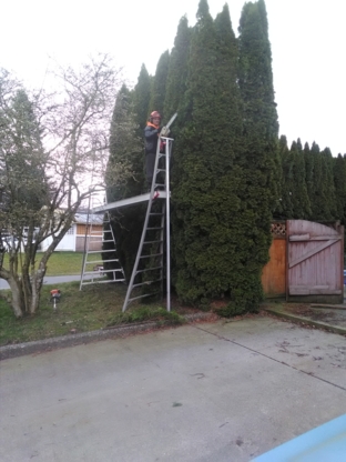 Agassiz Hedge & Tree Service | 2894 Cameron Rd, Agassiz, BC V0M 1A0, Canada | Phone: (604) 703-3934